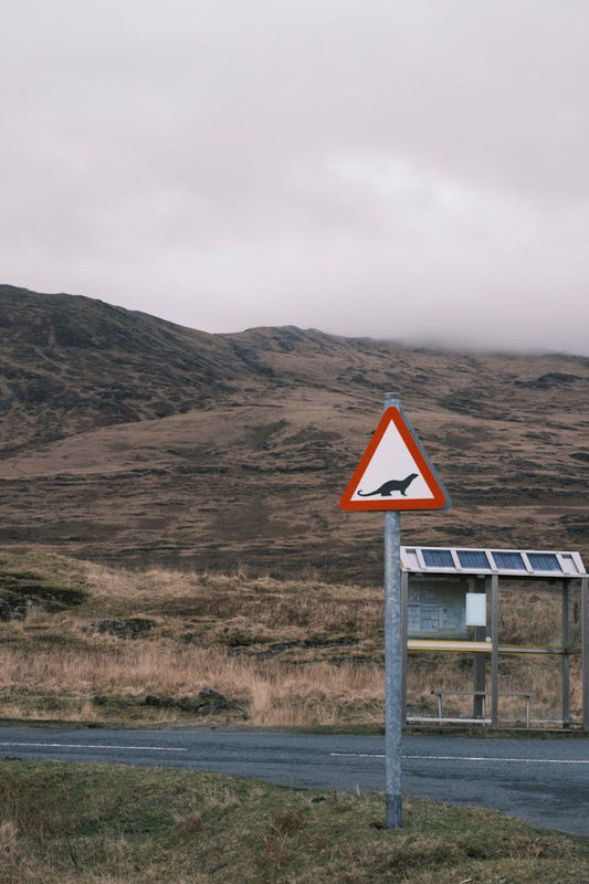 Solar-Powered Road Signs: Solar Tech Is Making Roads Safer & Greener